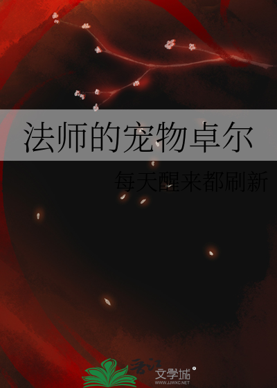 迷雾大陆 法师宠物