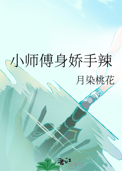 小师傅身娇手辣小说