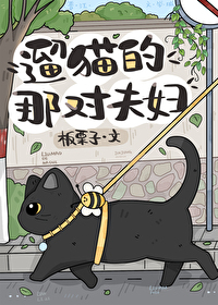 遛猫的那对夫妇by板栗子