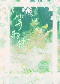 等雨停小说