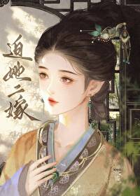迫她二嫁免费阅读