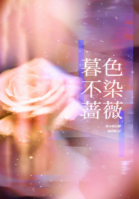 暮色微凉小说