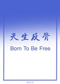 足球绿茵魔术师周入江笔趣阁