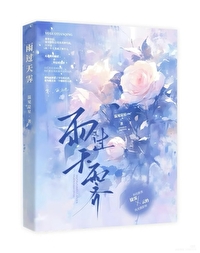 雨过天霁 下一句