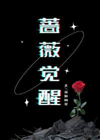 蔷薇的历练永久皮肤有哪些