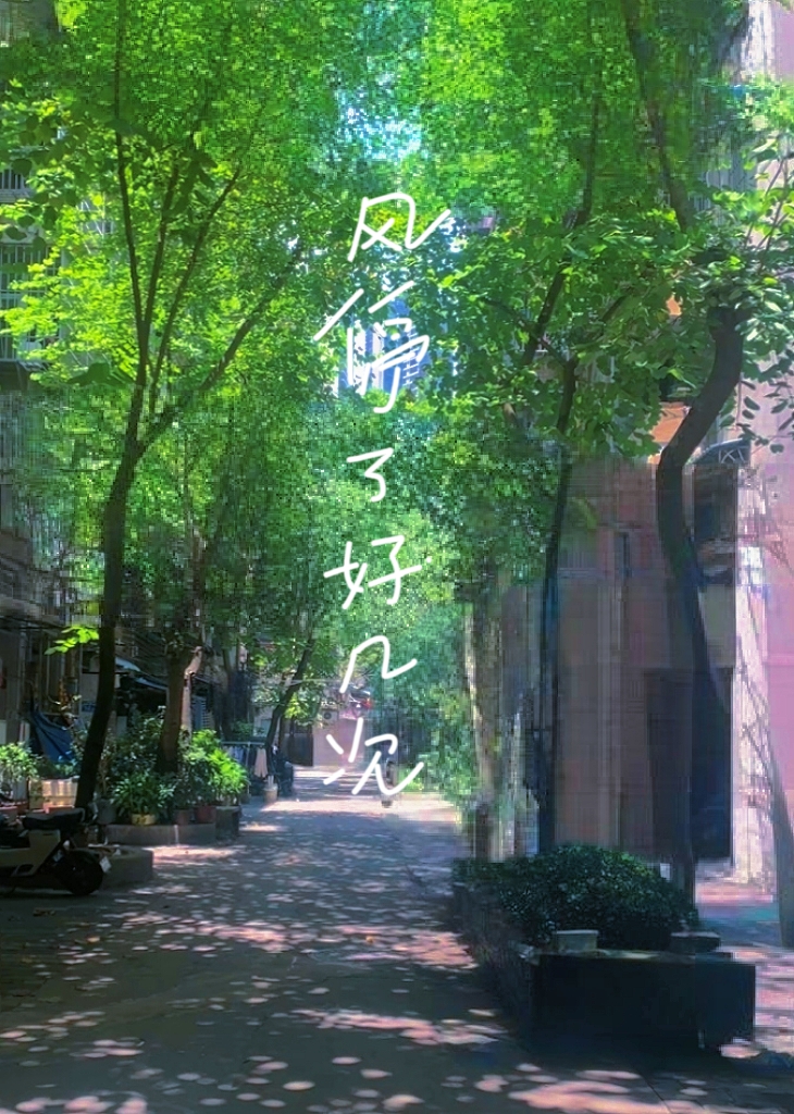 风停了是什么歌