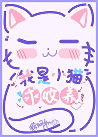 我是小猫求领养小说