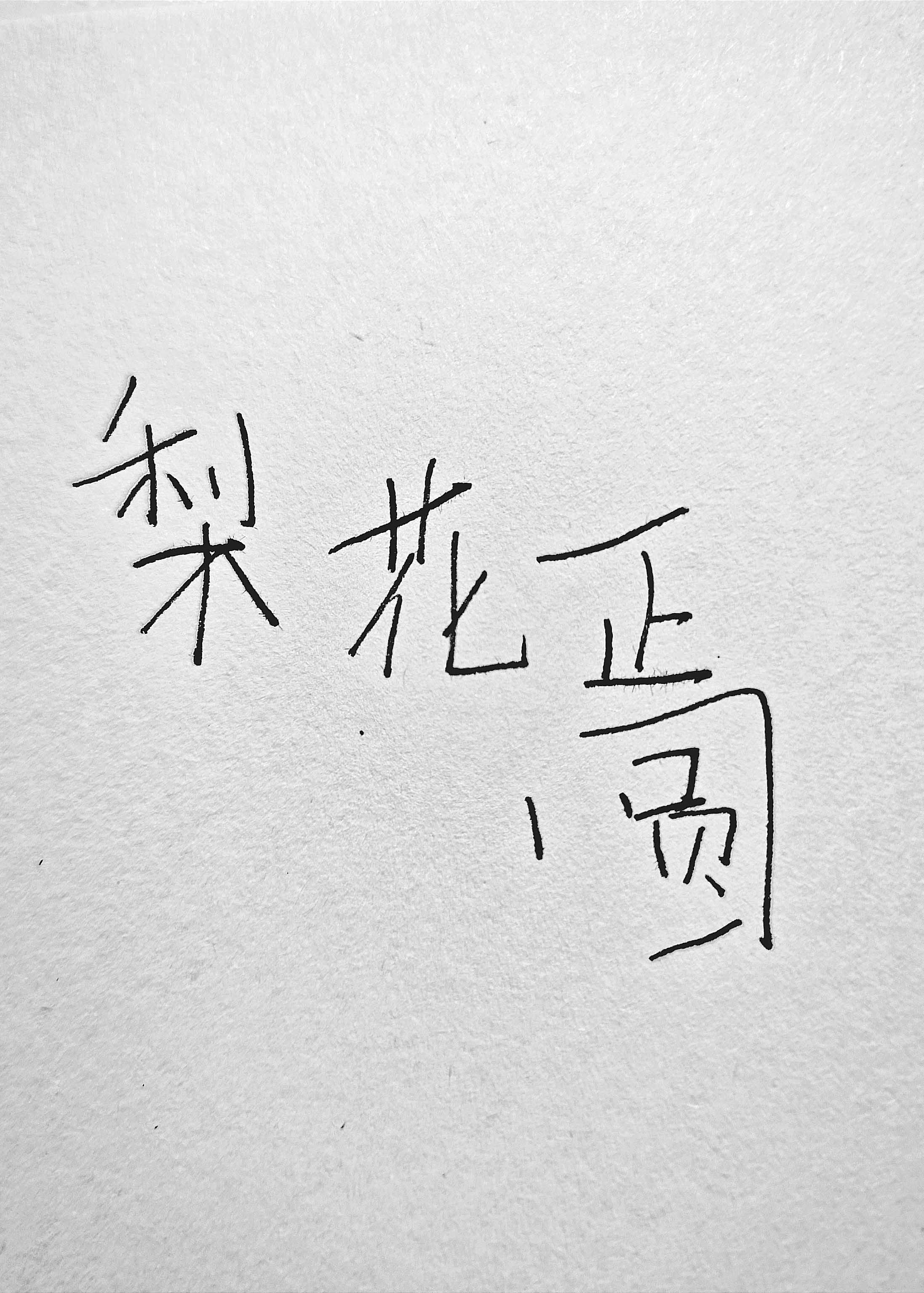 梨花正圆李华郑源