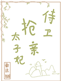 侍卫一般称太子妃什么