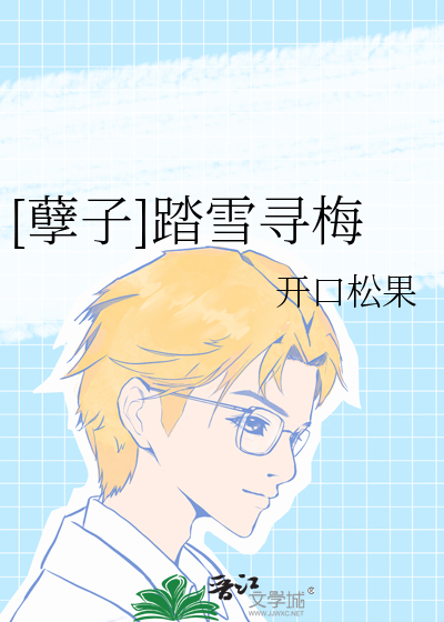 踏雪寻梅案情