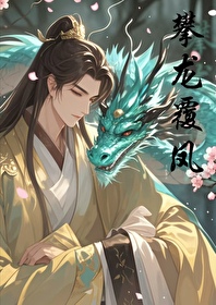 攀龙附凤写的小说