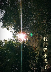 我家的猫不见了怎么办