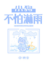 小狗淋雨会怎么样