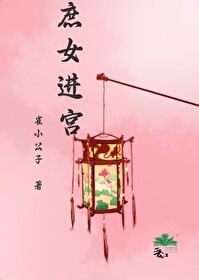 庶女进宫选秀